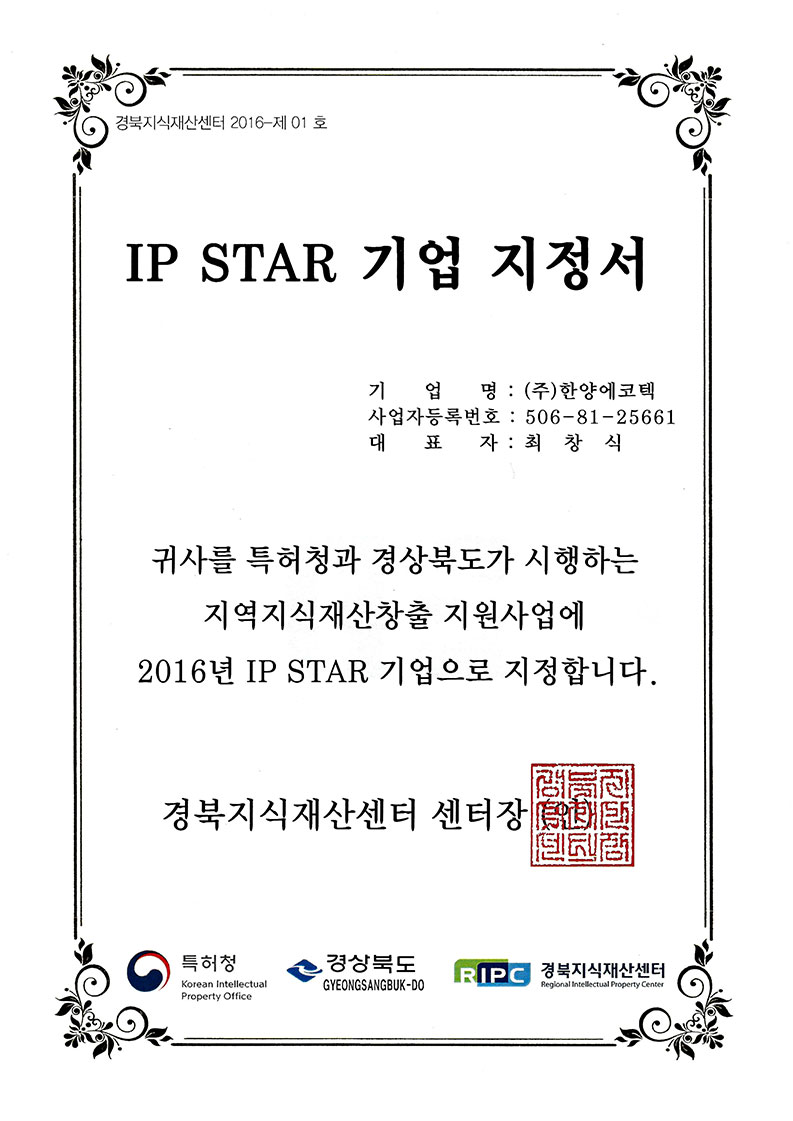 IP STAR 기업 지정서